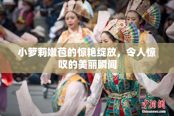 小箩莉嫩苞的惊艳绽放，令人惊叹的美丽瞬间
