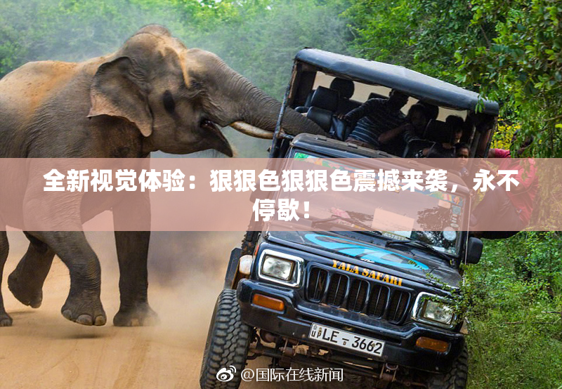 全新视觉体验：狠狠色狠狠色震撼来袭，永不停歇！