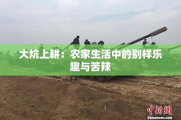 大炕上耕：农家生活中的别样乐趣与苦辣