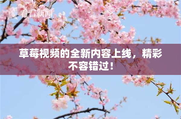 草莓视频的全新内容上线，精彩不容错过！