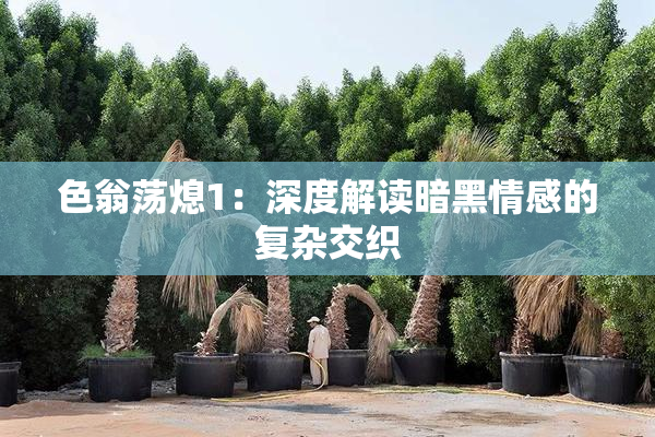 色翁荡熄1：深度解读暗黑情感的复杂交织