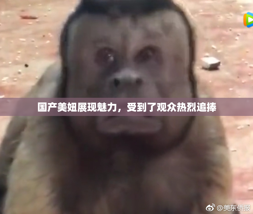 国产美妞展现魅力，受到了观众热烈追捧