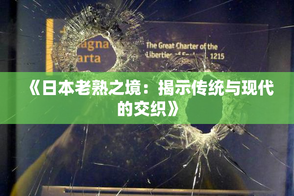 《日本老熟之境：揭示传统与现代的交织》