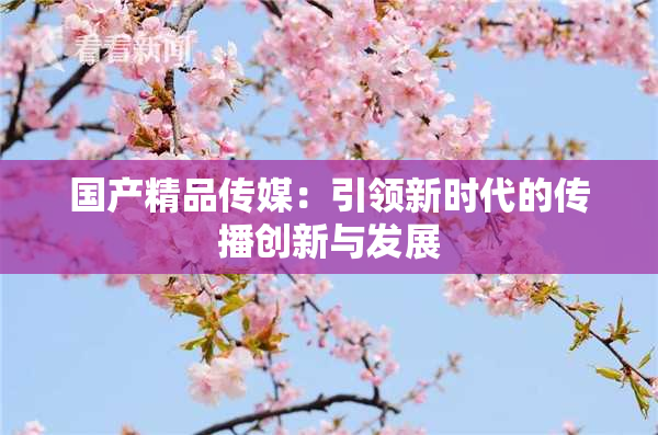 国产精品传媒：引领新时代的传播创新与发展