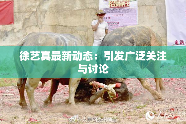 徐艺真最新动态：引发广泛关注与讨论