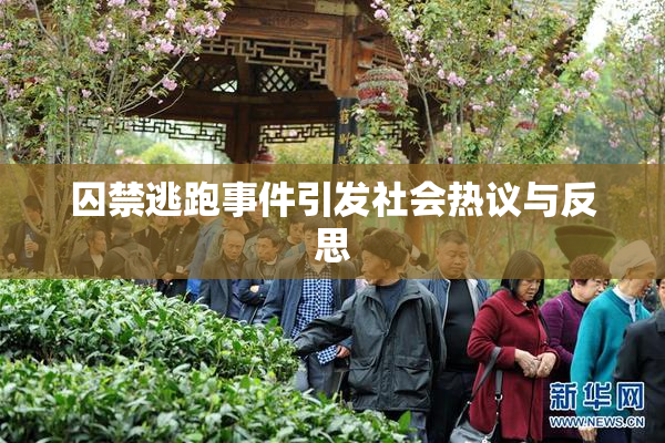 囚禁逃跑事件引发社会热议与反思