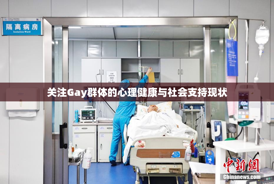 关注Gay群体的心理健康与社会支持现状