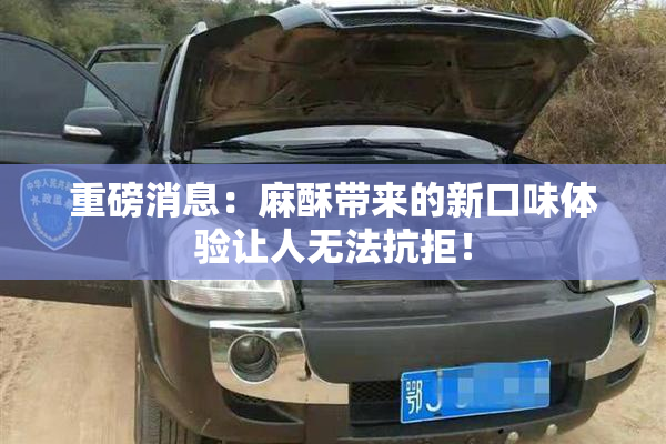 重磅消息：麻酥带来的新口味体验让人无法抗拒！
