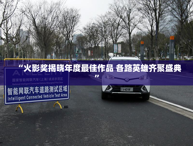 “火影奖揭晓年度最佳作品 各路英雄齐聚盛典”