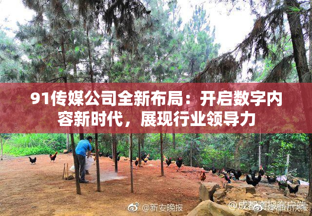 91传媒公司全新布局：开启数字内容新时代，展现行业领导力