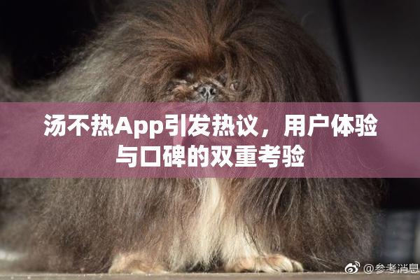 汤不热App引发热议，用户体验与口碑的双重考验