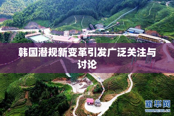 韩国潜规新变革引发广泛关注与讨论