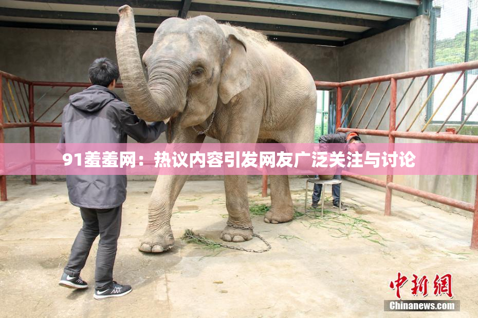 91羞羞网：热议内容引发网友广泛关注与讨论