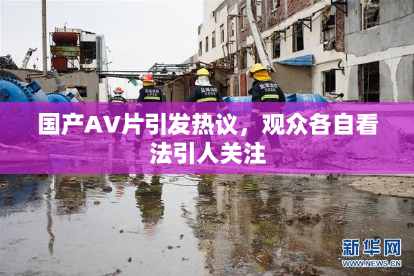 国产AV片引发热议，观众各自看法引人关注