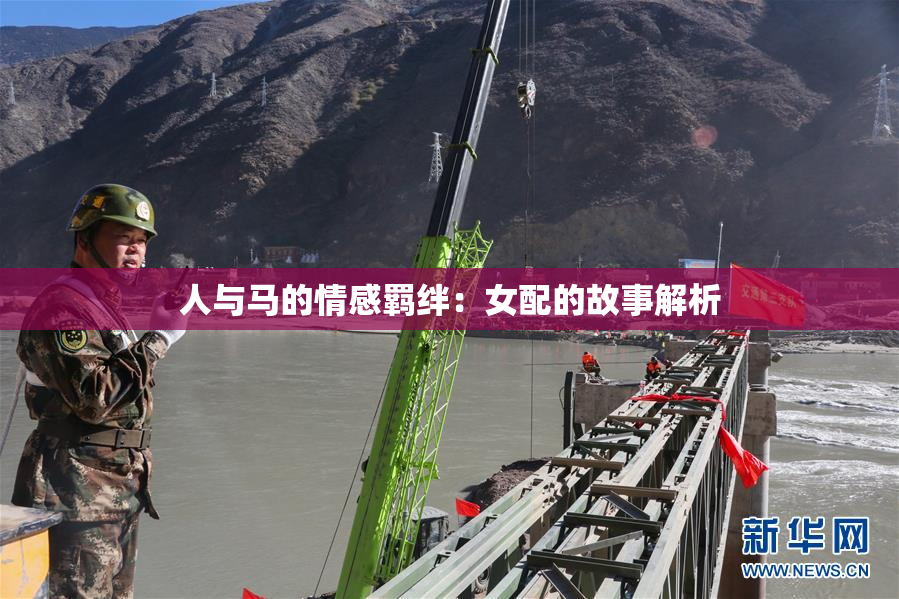 人与马的情感羁绊：女配的故事解析