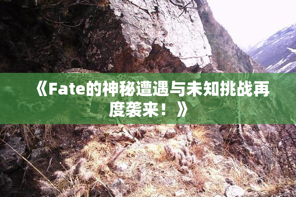 《Fate的神秘遭遇与未知挑战再度袭来！》