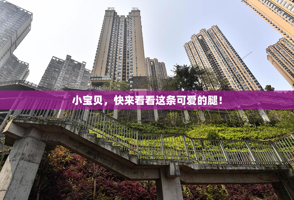 小宝贝，快来看看这条可爱的腿！