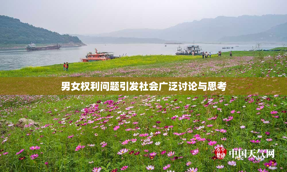 男女权利问题引发社会广泛讨论与思考