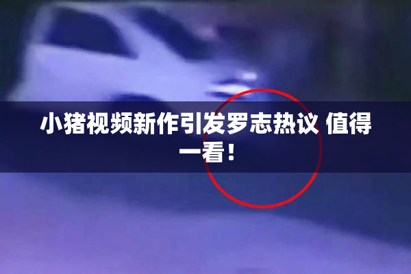 小猪视频新作引发罗志热议 值得一看！
