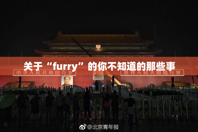关于“furry”的你不知道的那些事