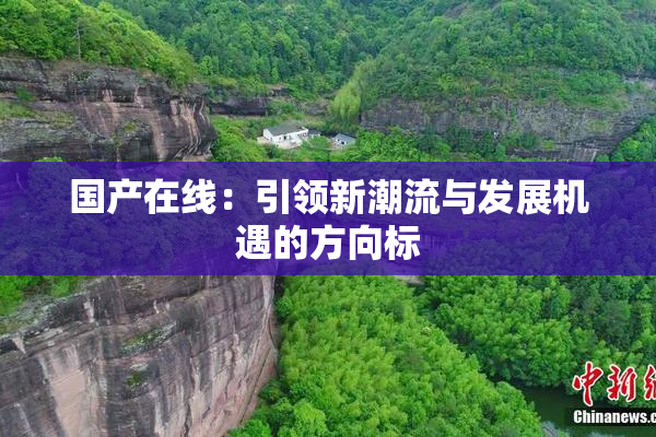 国产在线：引领新潮流与发展机遇的方向标