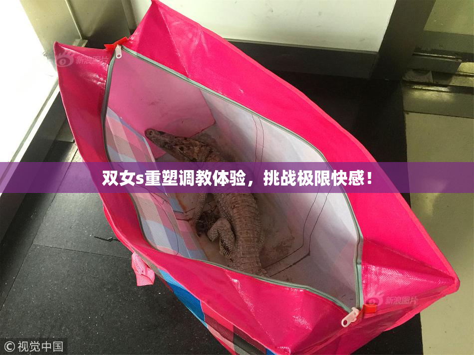 双女s重塑调教体验，挑战极限快感！