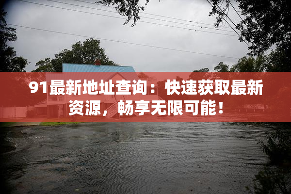 91最新地址查询：快速获取最新资源，畅享无限可能！