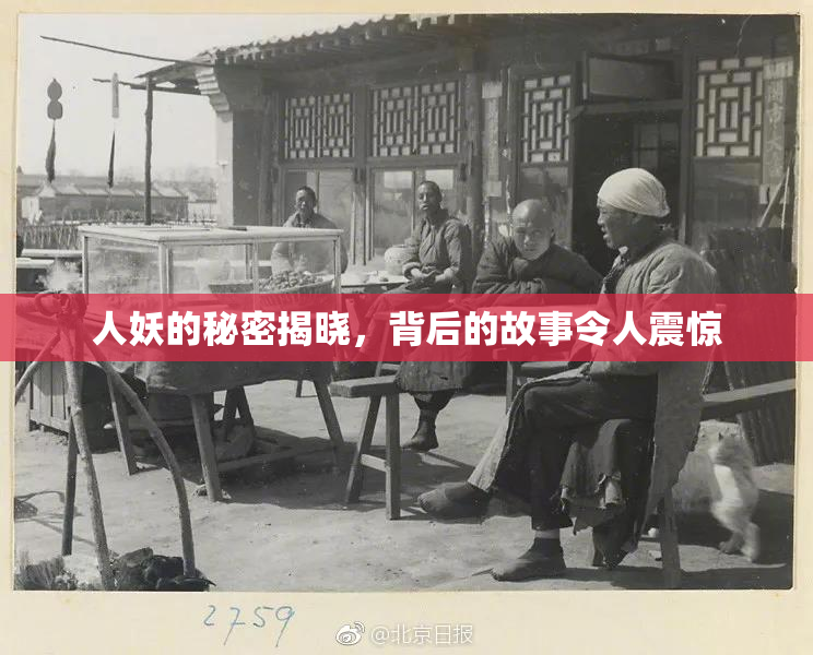 人妖的秘密揭晓，背后的故事令人震惊
