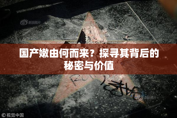 国产嫩由何而来？探寻其背后的秘密与价值