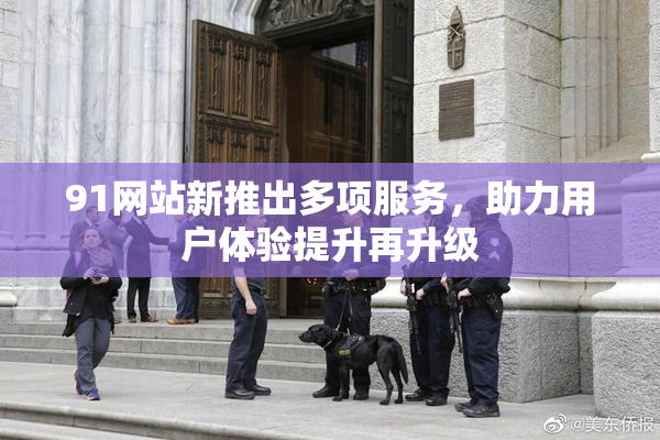 91网站新推出多项服务，助力用户体验提升再升级