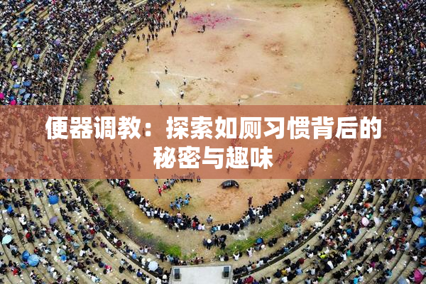 便器调教：探索如厕习惯背后的秘密与趣味