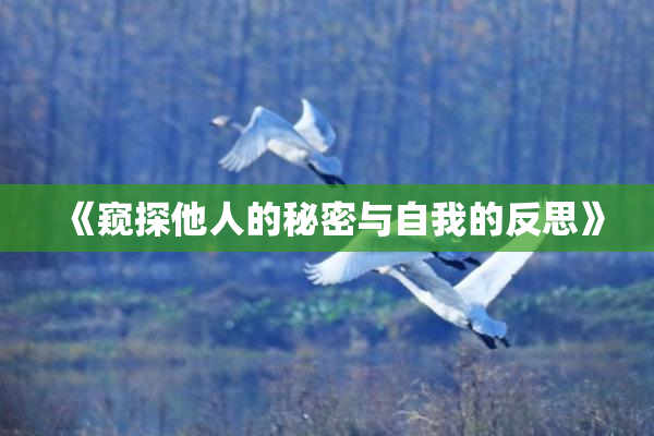 《窥探他人的秘密与自我的反思》