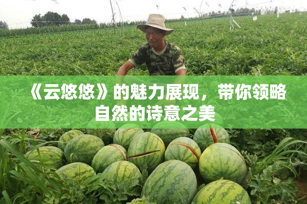 《云悠悠》的魅力展现，带你领略自然的诗意之美