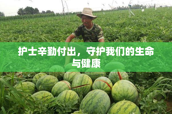 护士辛勤付出，守护我们的生命与健康