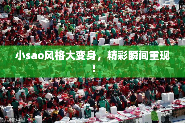 小sao风格大变身，精彩瞬间重现！