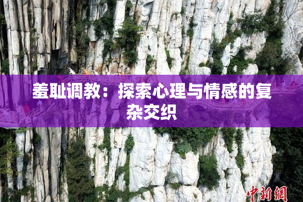 羞耻调教：探索心理与情感的复杂交织