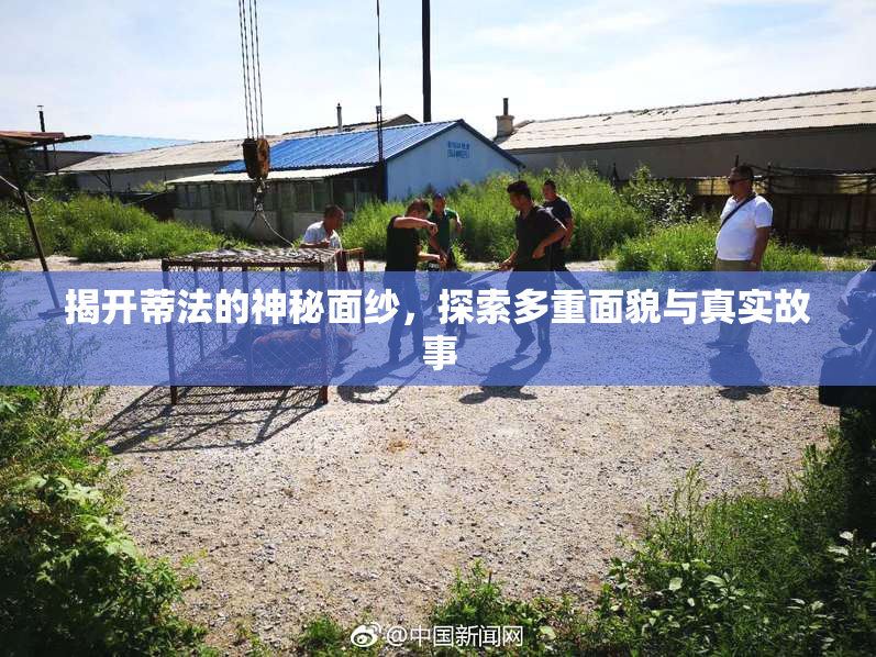 揭开蒂法的神秘面纱，探索多重面貌与真实故事
