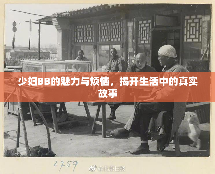 少妇BB的魅力与烦恼，揭开生活中的真实故事