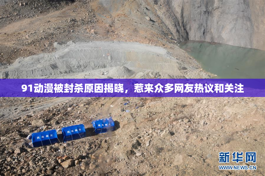91动漫被封杀原因揭晓，惹来众多网友热议和关注