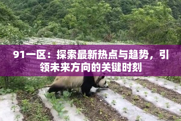91一区：探索最新热点与趋势，引领未来方向的关键时刻