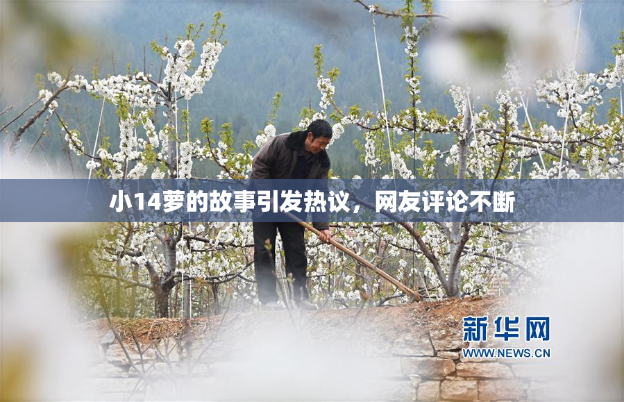 小14萝的故事引发热议，网友评论不断