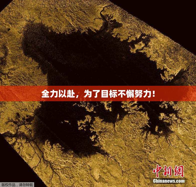全力以赴，为了目标不懈努力！