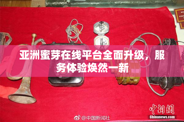 亚洲蜜芽在线平台全面升级，服务体验焕然一新