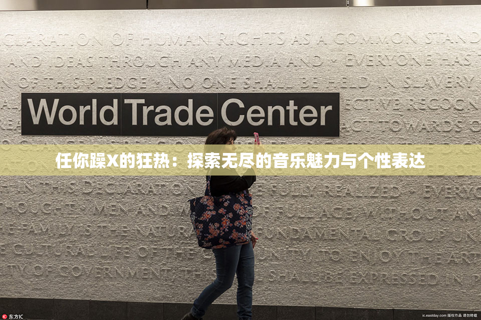 任你躁X的狂热：探索无尽的音乐魅力与个性表达