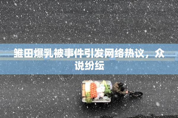 雏田爆乳被事件引发网络热议，众说纷纭