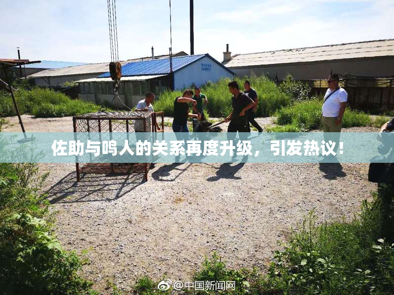 佐助与鸣人的关系再度升级，引发热议！