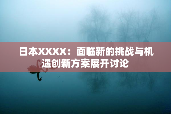 日本XXXX：面临新的挑战与机遇创新方案展开讨论