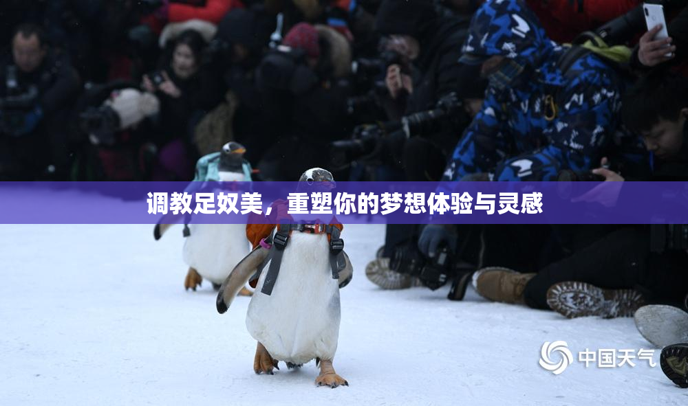 调教足奴美，重塑你的梦想体验与灵感