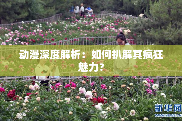 动漫深度解析：如何扒解其疯狂魅力？