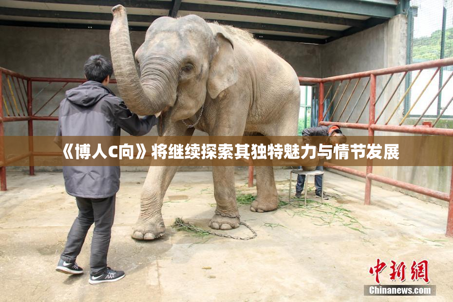 《博人C向》将继续探索其独特魅力与情节发展
